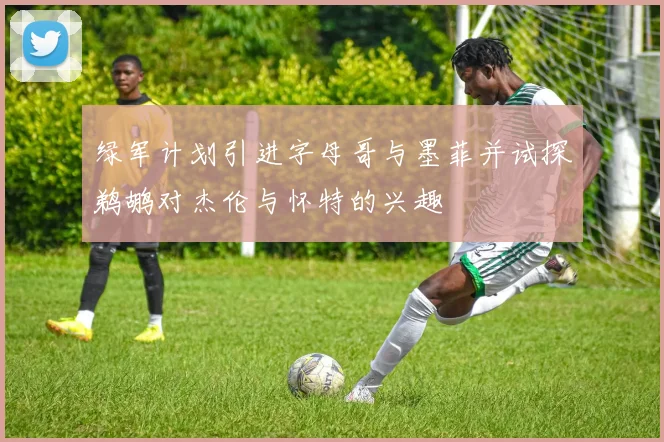 绿军计划引进字母哥与墨菲并试探鹈鹕对杰伦与怀特的兴趣